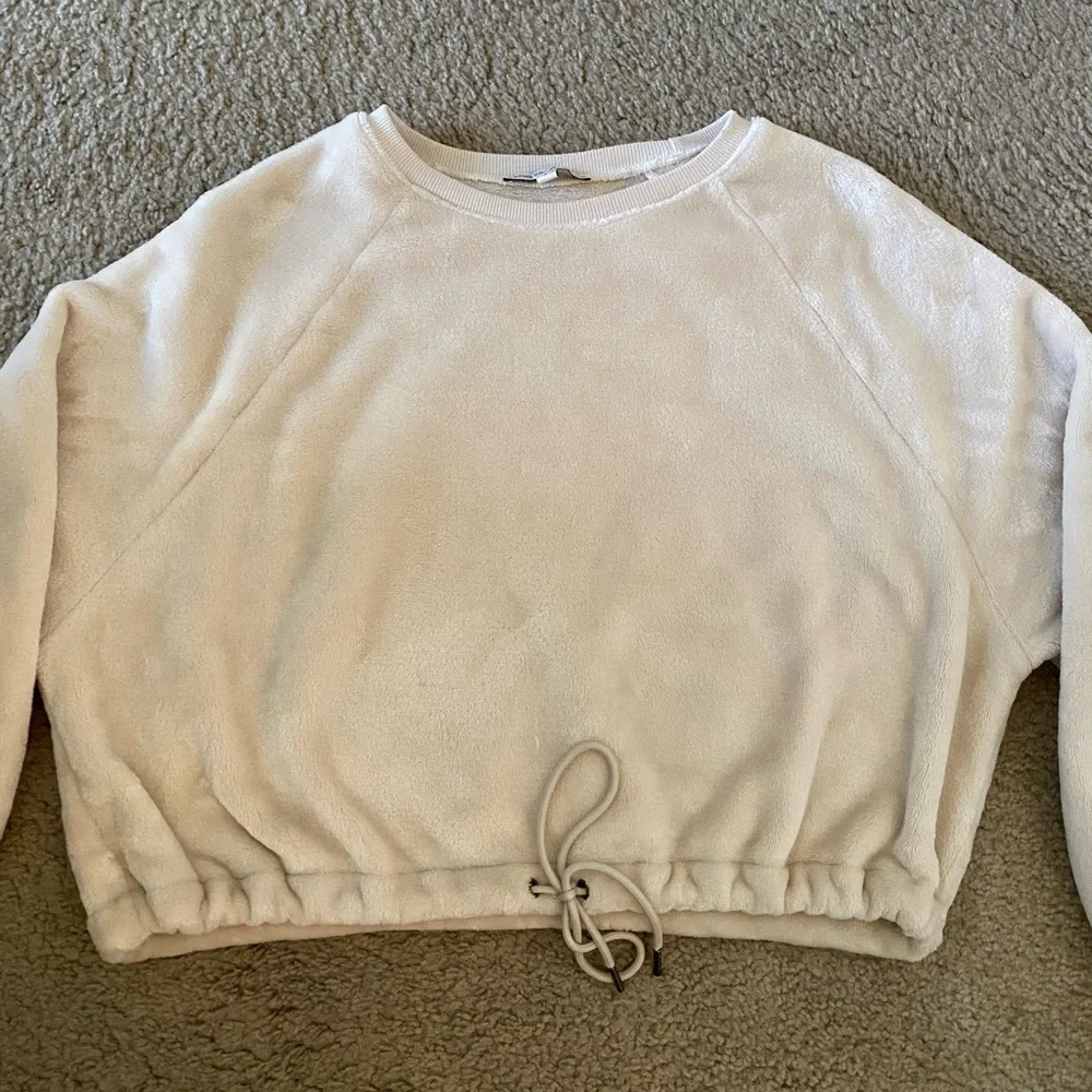 Express Cozy Cropped‎ Long Sleeved Crew Neck Sweater
